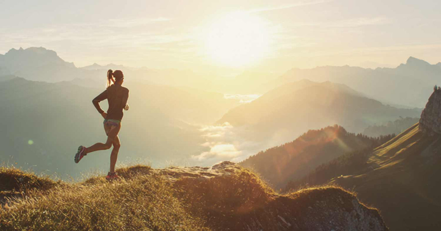 Cordyceps: The Ancient Mushroom Behind the New Science of Sustained Energy