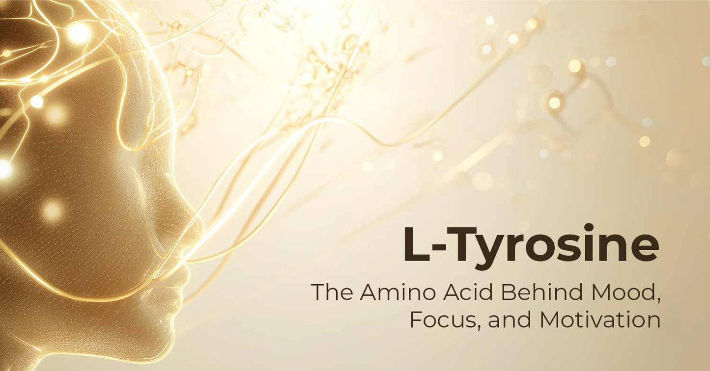 L-Tyrosine: The Amino Acid Behind Your Best Mood, Focus, and Motivation